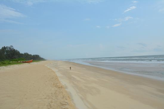 Suratkal Beach